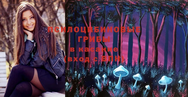 мескалин Верхний Тагил